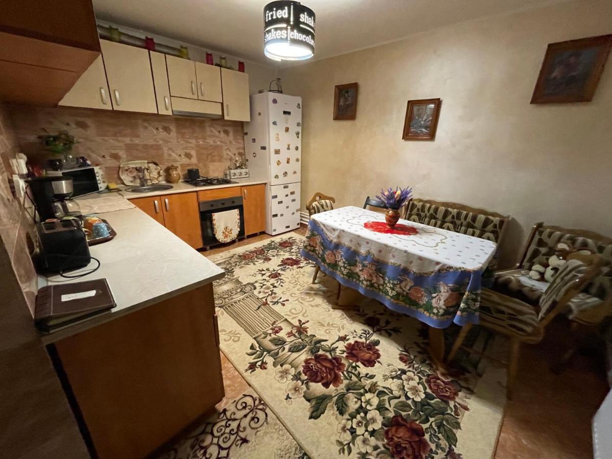 Casa Cu Pitici Guest House Vama  Exterior photo