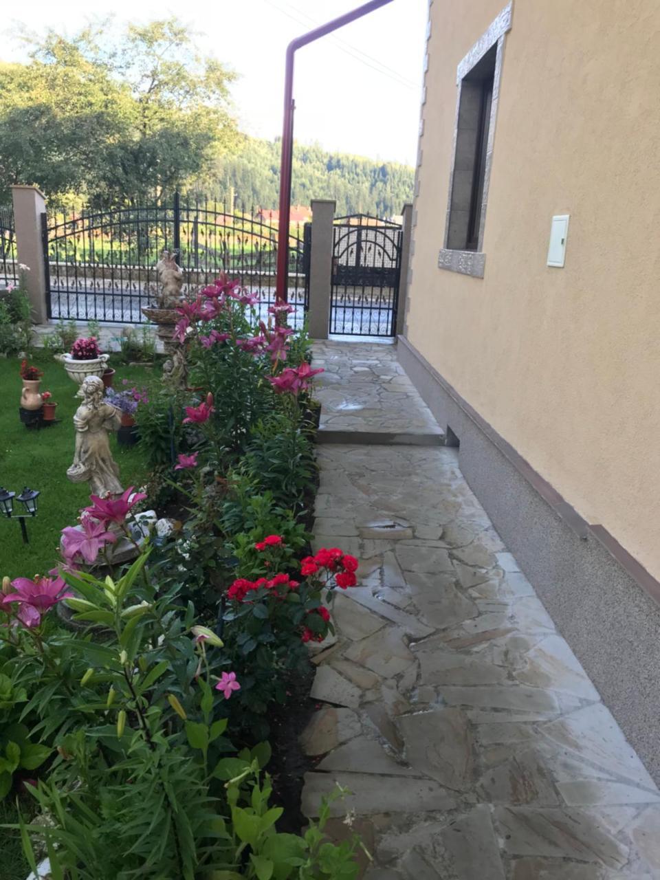 Casa Cu Pitici Guest House Vama  Exterior photo